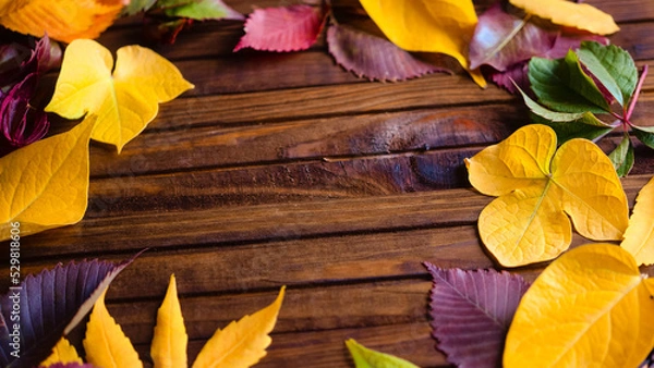 Fototapeta Autumn frame for your idea and text. Autumn fallen dry leaves of yellow, red, green color, laid in the center of the frame on an old brown wooden board.	