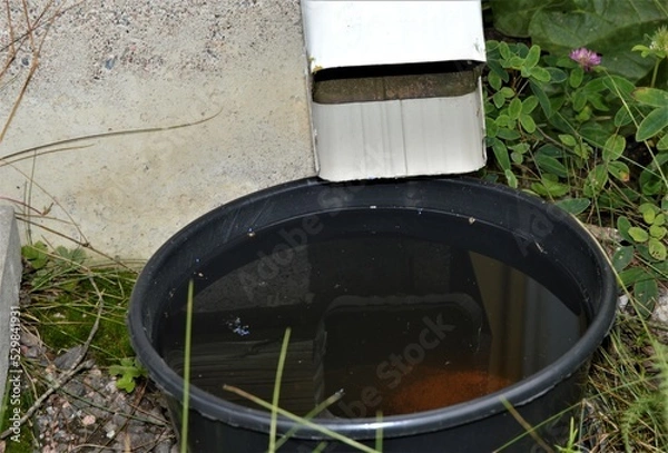 Obraz Rainwater in a bucket