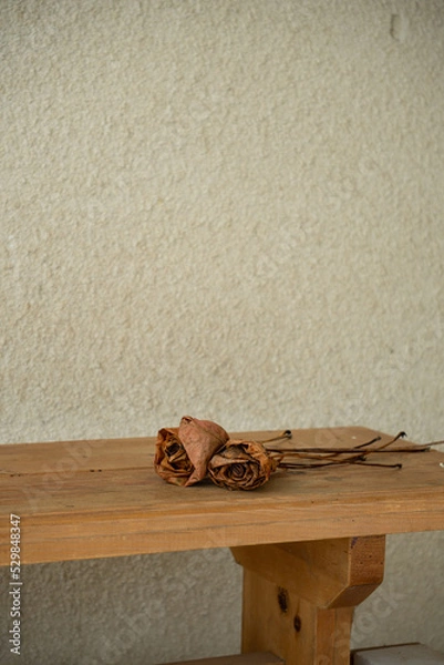 Obraz Dried roses