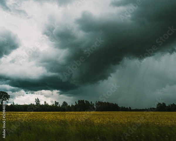 Fototapeta Thunderclouds behind a windy field