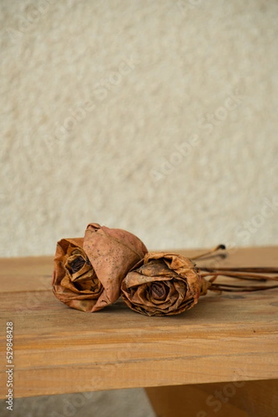 Obraz Dried roses
