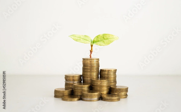Fototapeta coins stack with plant green leaves growth on top coin on white background. financial, investment and money saving concept. ESG Environmental Social Governance. startup.