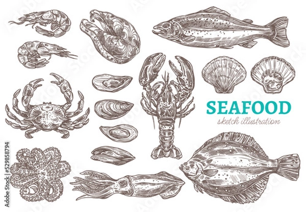 Obraz Seafood set of sketch vector illustrations - different kinds of sea and ocean animals suitable for cooking and eating. Hand drawn fish, crustaceans and ingredients for japanese restaurant or store