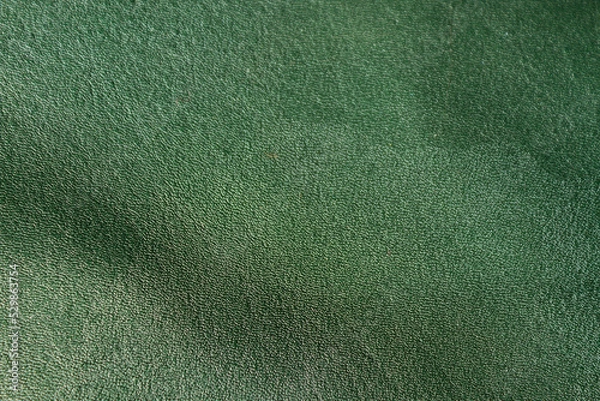 Obraz Green leather texure