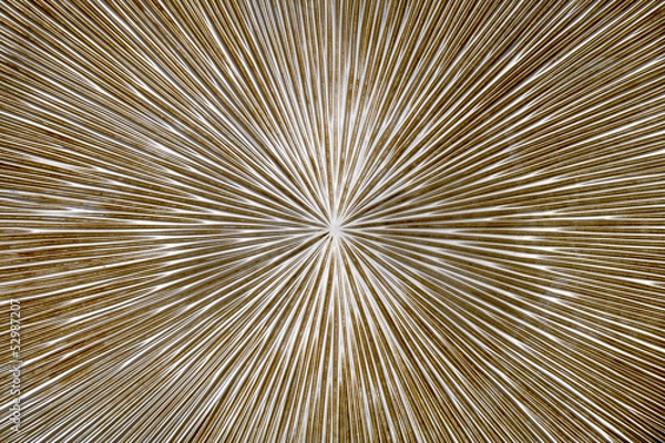 Fototapeta Radial background