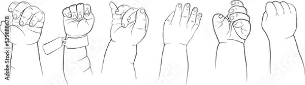Obraz Newborn Baby's  hand vector hand drawn line  illustartion