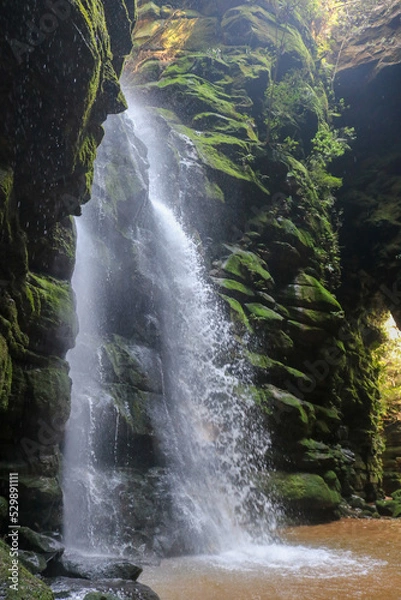 Obraz waterfall in the forest