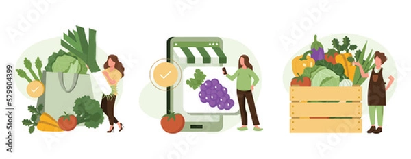 Fototapeta Grocery vegetables illustration set. Character buying online fresh organic vegetables, putting in shopping basket and veggie box delivery. Local production support concept. Vector illustration.