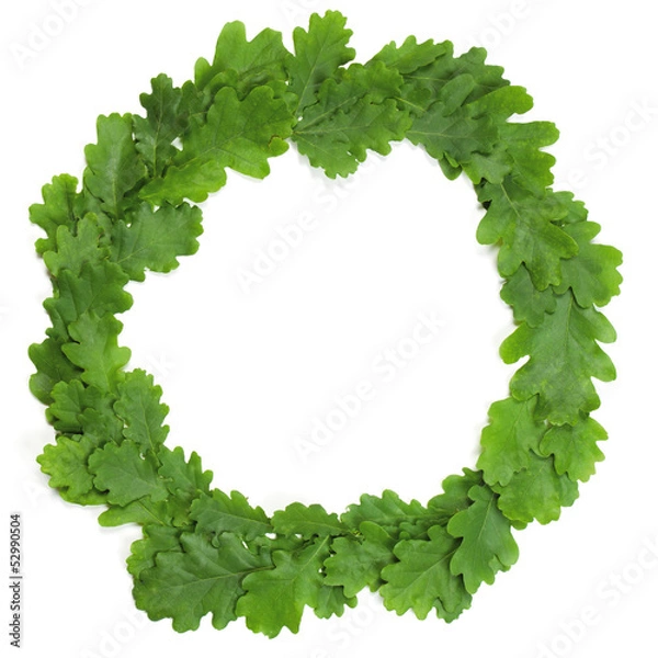 Fototapeta Oak wreath