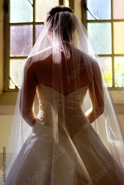 Fototapeta Bridal Back