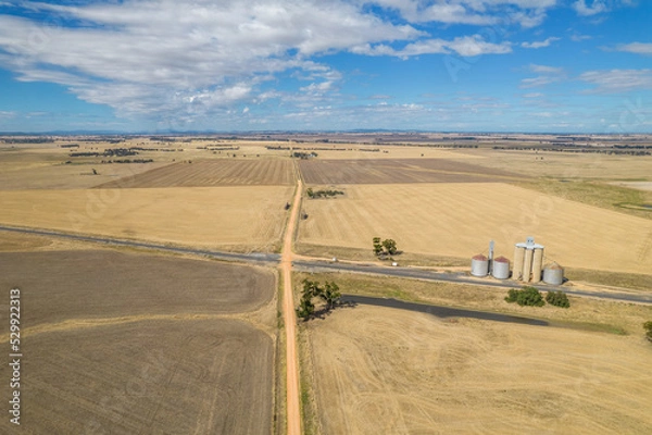 Obraz Looking at the silos and country side in the Mallee