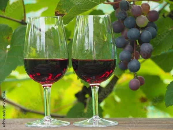 Obraz ワイン葡萄と赤ワイン