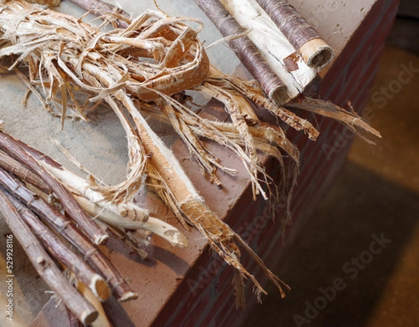 Obraz 日本の福井県の伝統工芸の越前和紙の原料