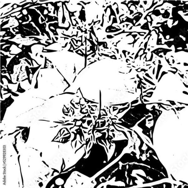 Obraz flower pattern shape for background or wallpaper