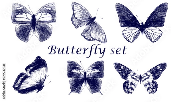 Obraz Set of butterflies drawn with a blue pen isolated on a white