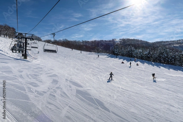 Obraz 快晴のスキー場でスキーを楽しむ人