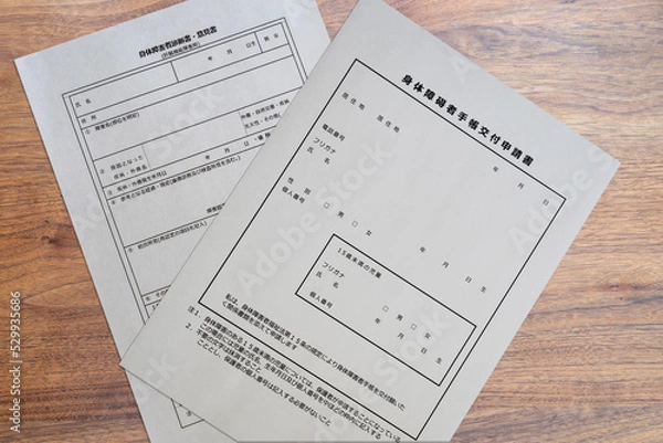 Obraz 身体障害者診断書 肝臓 肝機能障害用（身体障碍者手帳交付申請書）