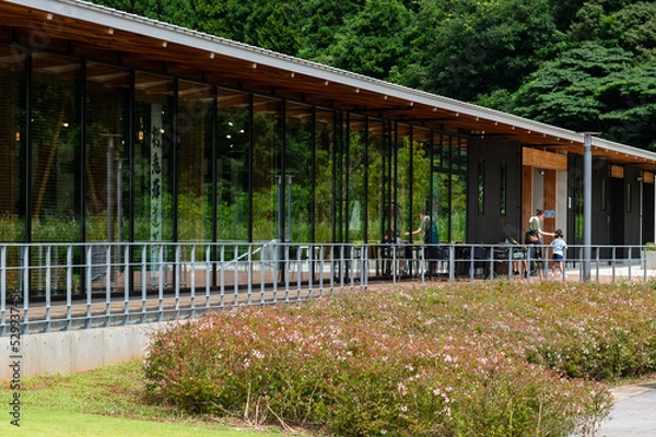 Obraz イカキング