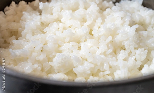 Fototapeta ご飯