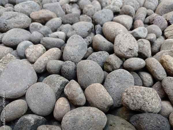 Fototapeta a close-up photo of the pebbles. gray and oval and round