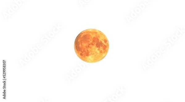 Obraz full moon on a white background
