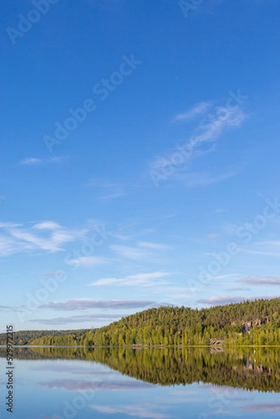 Fototapeta Calm evening at the lake shore in Finland. Beautiful scenery with green leaves in the forest.