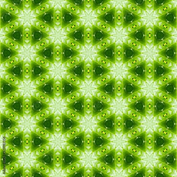 Obraz floral pattern for background and wallpaper