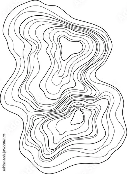 Fototapeta Abstract tree ring. Vector topographic map design element. Contour map concept. Thin wavy lines.