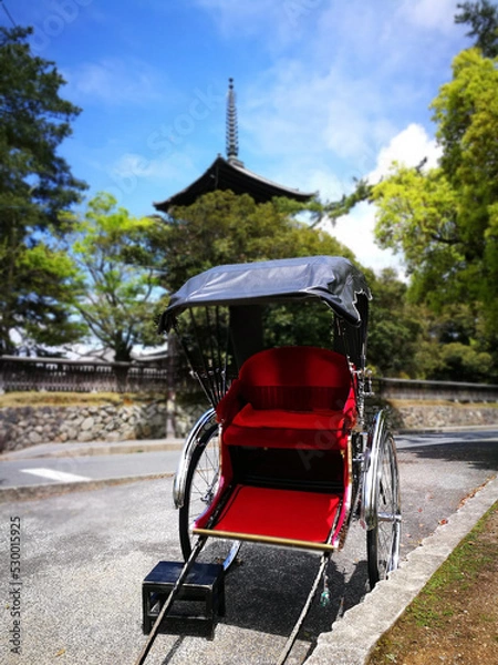 Obraz 奈良興福寺人力車