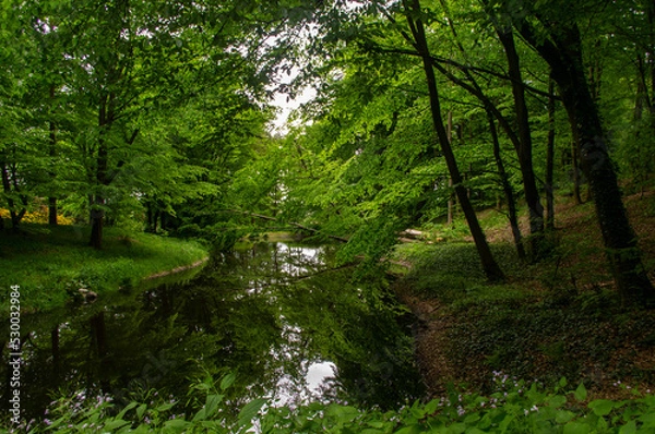 Obraz Strumień w lesie