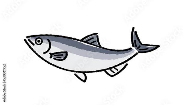 Fototapeta ニシン