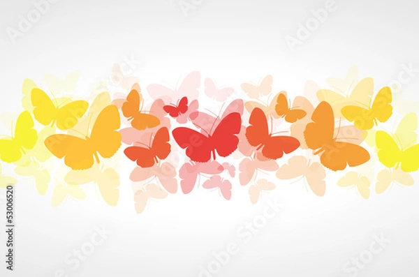 Fototapeta Butterflies vector background