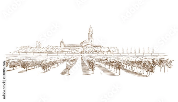 Obraz Vineyard landscape vector sketch design. Hand drawn illustration