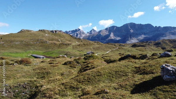 Obraz paesaggi montagna natura fiori alberi cielo verde