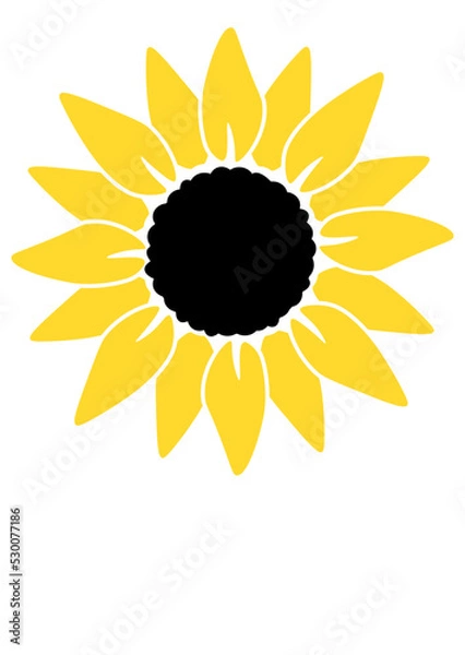 Fototapeta Sunflower vector file 
