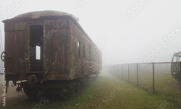 Obraz train in the countryside