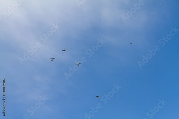 Obraz birds in flight