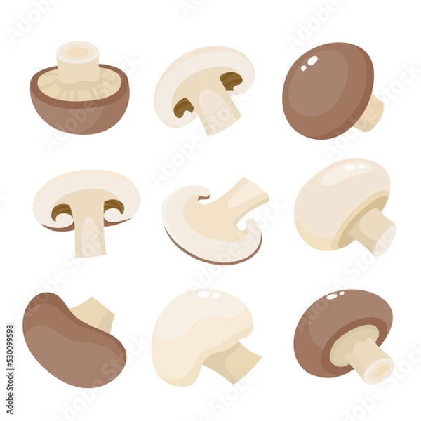 Obraz Cartoon vector collection of mushroom royal champignon.
