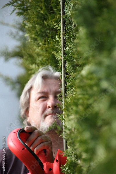 Obraz Mann schneidet Hecke