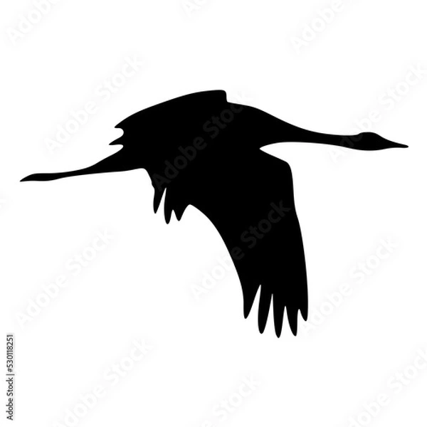 Obraz Fliegender Kranich