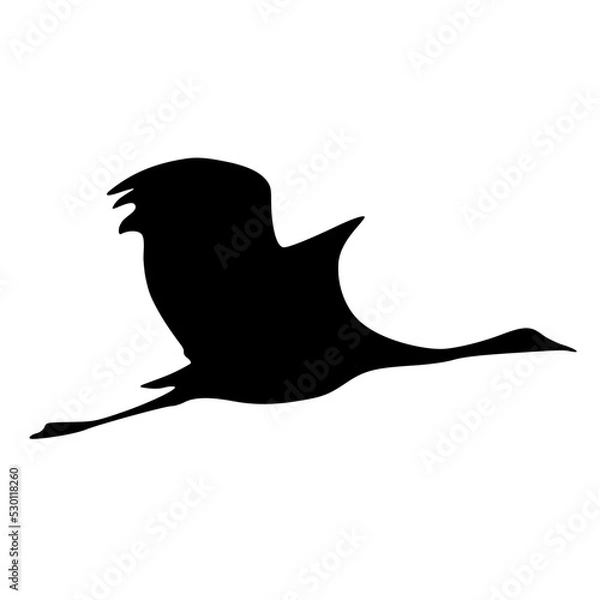 Obraz Fliegender Kranich