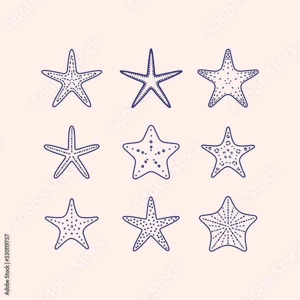 Fototapeta Starfish illustration. Stylized vector element for prints, clothing, pattern, packaging and postcards.