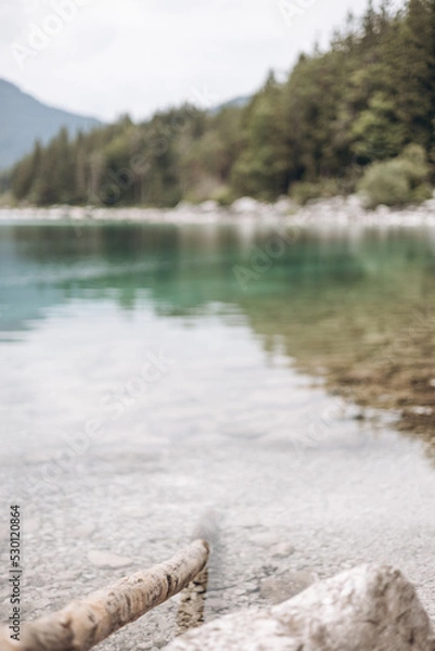 Obraz See als schöner Hintergrund mit einem Ast