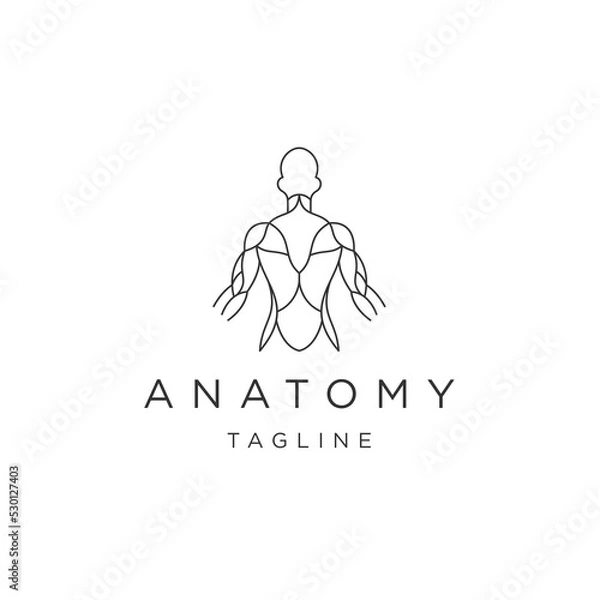 Obraz Anatomy line logo icon design template flat vector