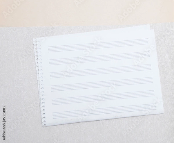 Fototapeta A blank page of sheet music with ruled hand drawn lines