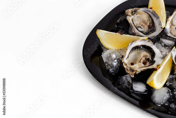 Obraz Oysters with lemon. Served black plate. White background.