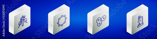 Obraz Set Isometric line Experimental insect, Chemical formula, Cell division and Test tube flask fire icon. Vector