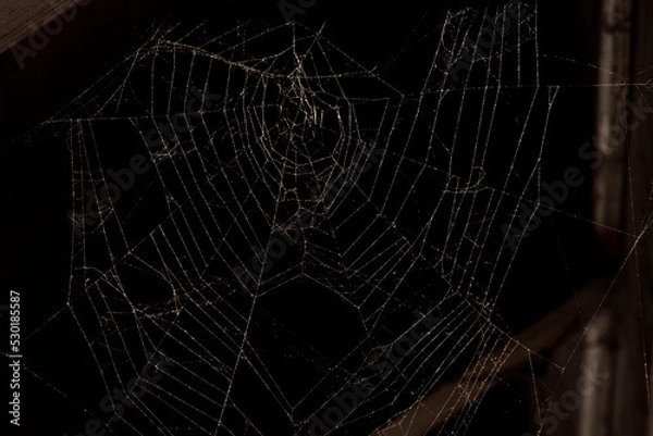 Fototapeta Triangle horror cobweb or spider web isolated on black background,horizontal photo