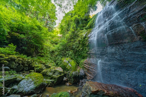 Fototapeta マイナスイオンで癒しを感じる不動の滝