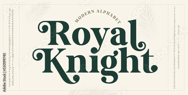 Obraz Eleganckie litery i liczby czcionki Serif czcionki typografia